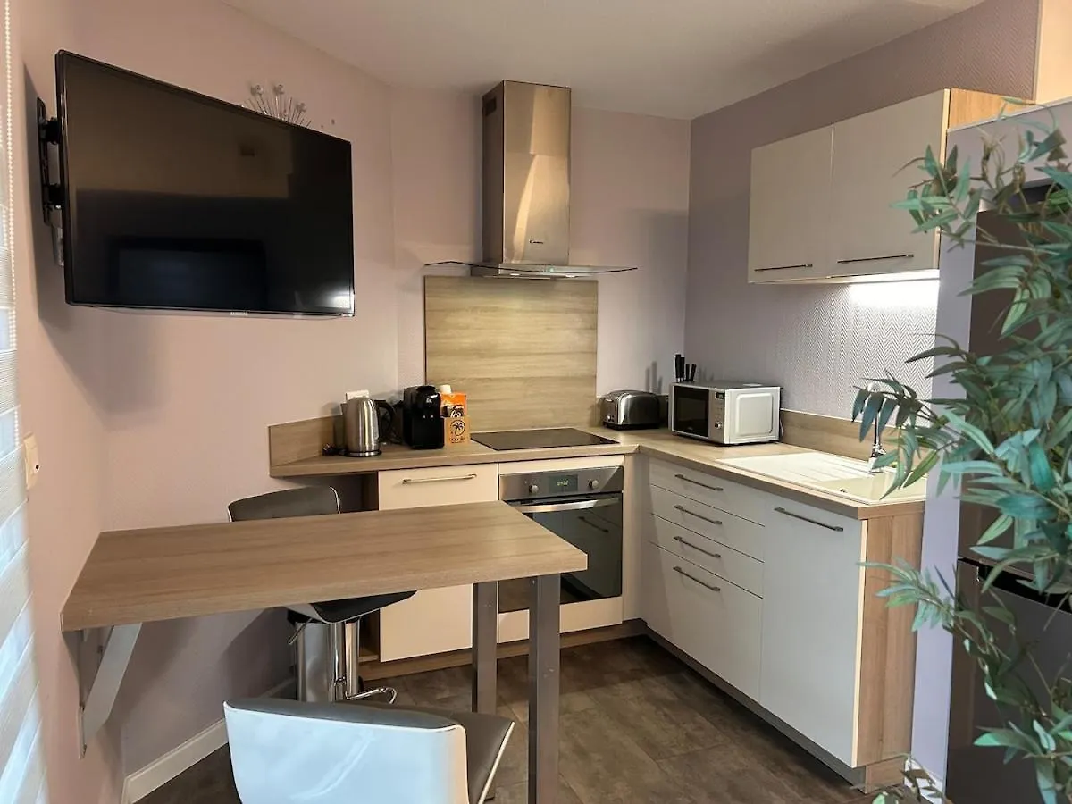 Appartement T2 Dans Une Residence Avec Piscine Toulouse Apartment